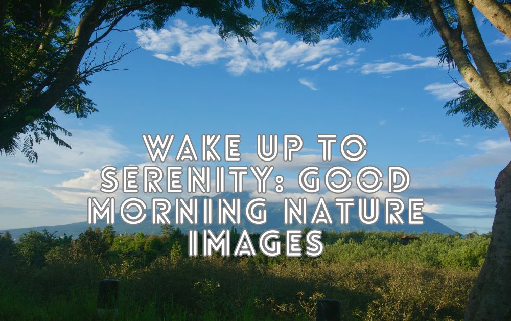 good morning 4k hd images nature